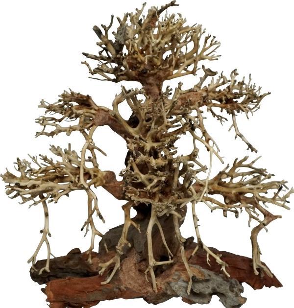 4fish Traerødder, Old Bonsai, 40x20x40 cm (other items)