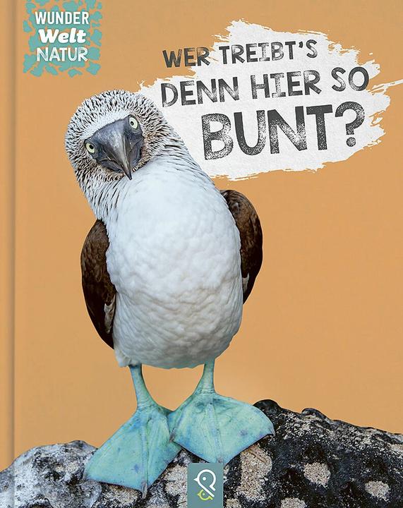 Produktbild Wer ist hier in die Farbe getappt? (Deutsch, Bobby Kastenhuber, 2023)