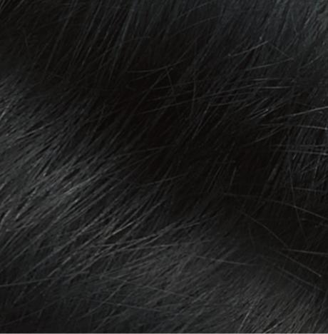Image du produit Naturtint 2.1 negro azulado (2.1)