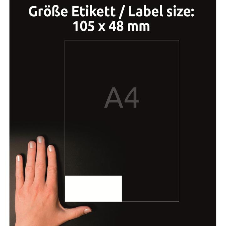 Actual product image Avery Universal labels 105 x 48 mm, 10 sheets