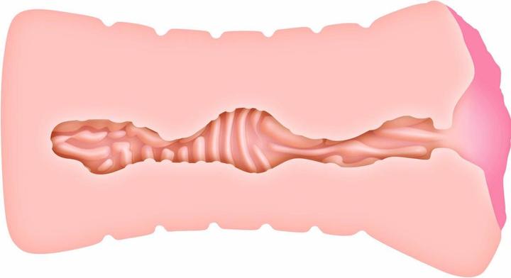 Productafbeelding Zero Lisa Ann Realistische Vagina Aaier