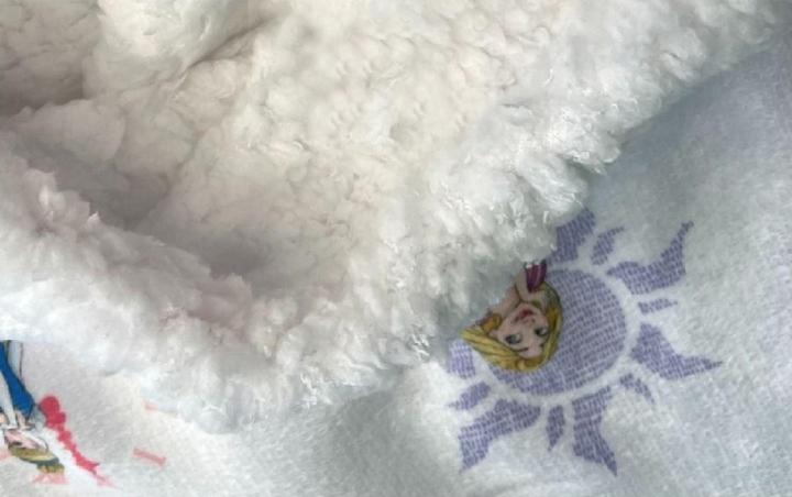 Actual product image Disney Princess Blanket Long Fibre Fleece (152 x 127 cm)