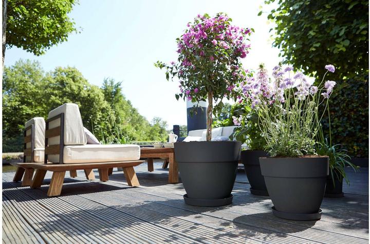 Produktbild Elho Vibia Campana (35 x 29 cm)