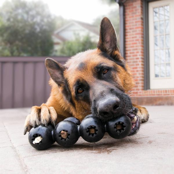Produktbild KONG Extreme Goodie Ribbon L - (KONGEGS1E) (Kauspielzeug Hund)