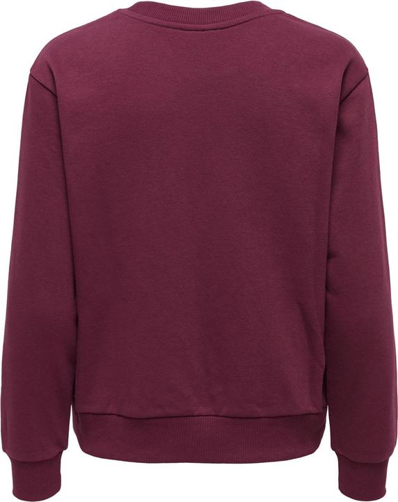 Produktbild JdY JDYPARIS Sweatshirt Sweatshirt (L)