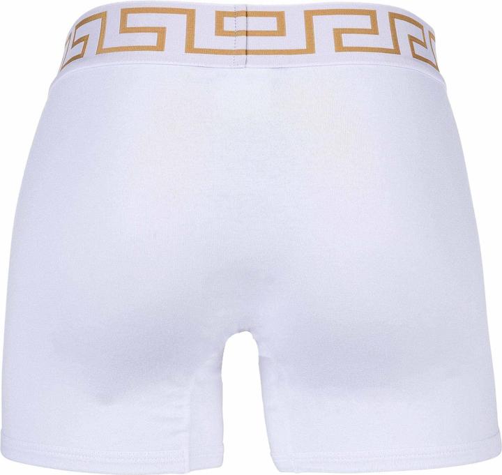 Produktbild Versace Bi-Pack Trunk Jersey Topeka Bi-Stretch Cotton Organic New Logo (L, 2er Pack)