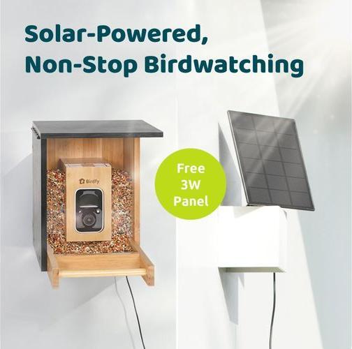 Immagine prodotto Birdfy Mini Solar