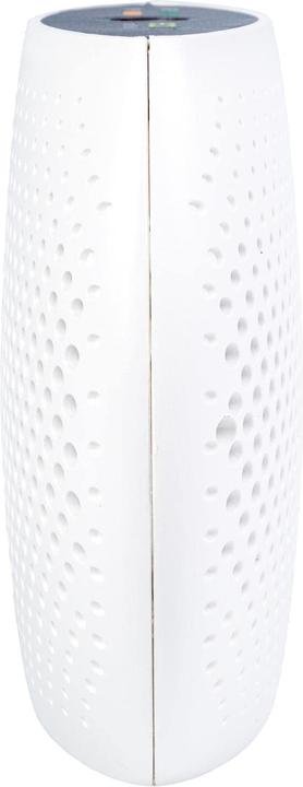 Produktbild ecofort ecoQ MiniDry (0.25 l/24h)