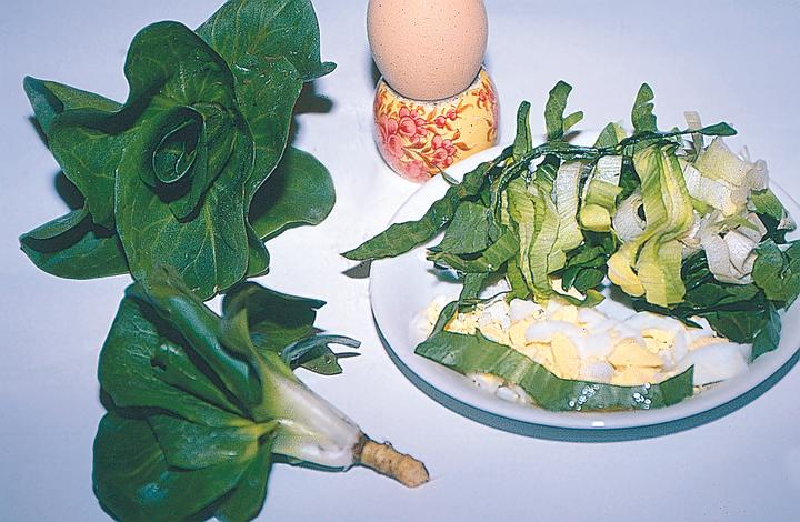 Produktbild Zollinger Bio Cicorino verde (Grumolo), Grüne (Keimlinge)