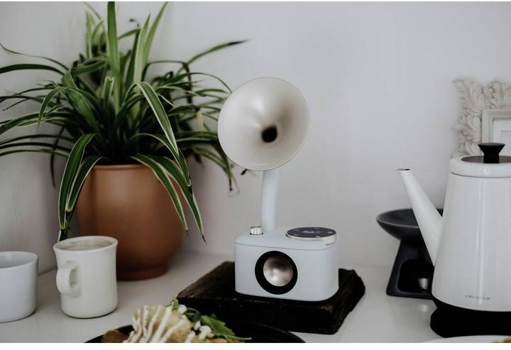 Actual product image Sangean CP 100D (DAB+, DAB, FM, Bluetooth)