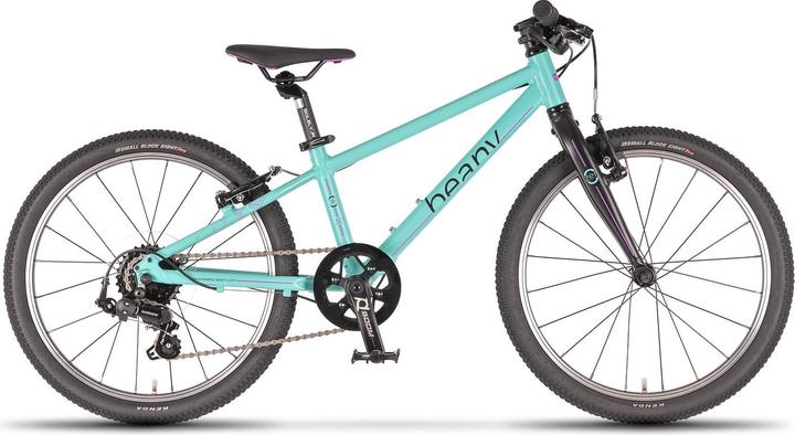 Mint colour, Turquoise