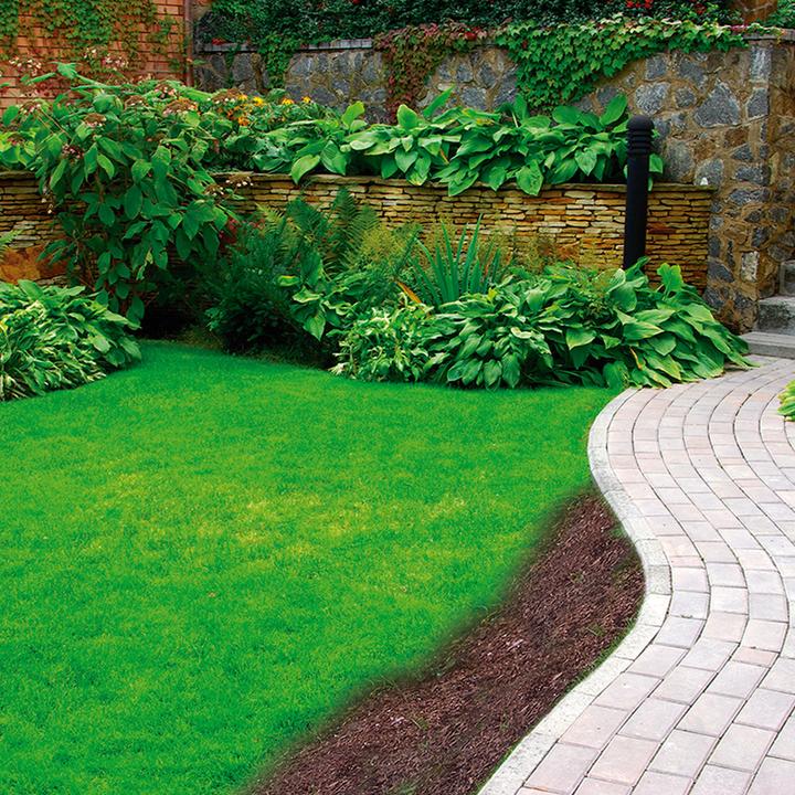 Image du produit Starlyf Flower Mat (Bulbes de fleurs)