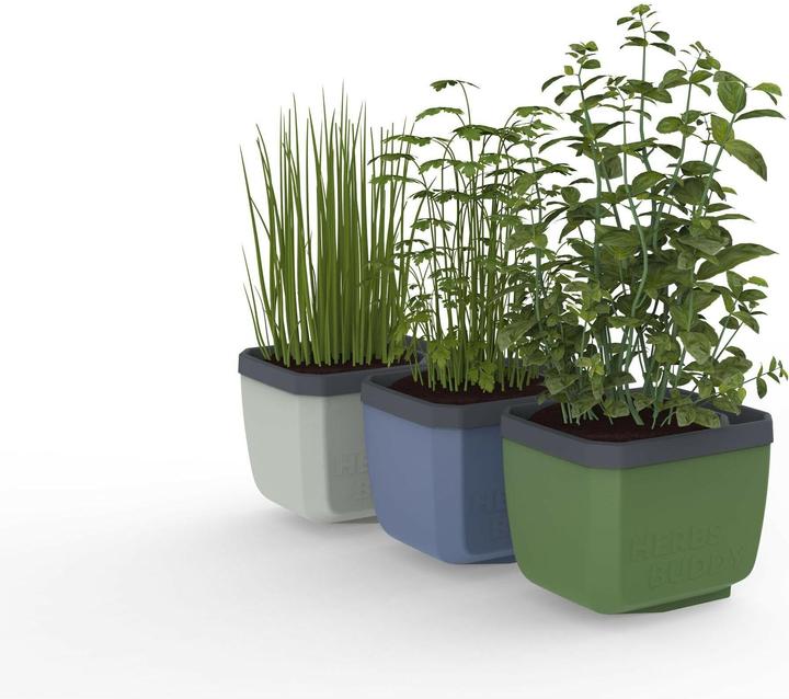 Actual product image Gusta Garden Herbs Buddy Set (49 x 15 x 14.50 cm)