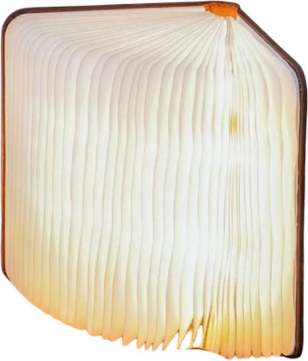 Produktbild Gingko Book