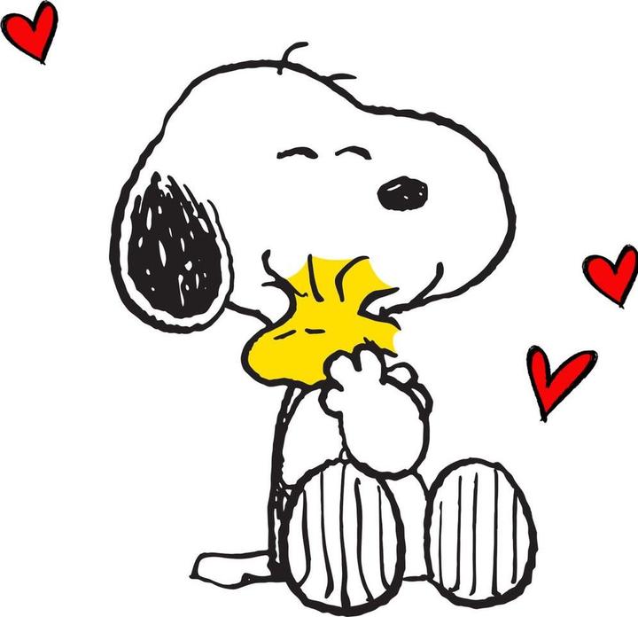 Braun Servietten 33x33cm 20er Pg (20 Pcs., 33 x 33 cm)