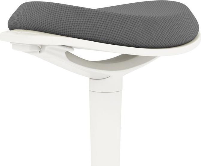 Image du produit Swisshandel24 Tabouret pendulaire, ergonomique, réglable en hauteur, jusqu'à 120 kg, 42,5x35,5x56,5-71,5cm, Gris