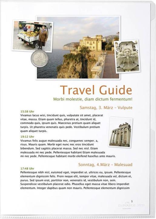 Produktbild Durable SICHTHÜLLE BUSINESS 1 Beutel Ã 100 St. 231519 (A4, 100x)