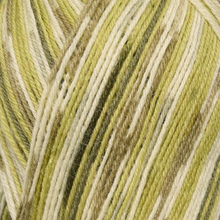 Actual product image Myflower Anyday Step By Step 1 (420 m)