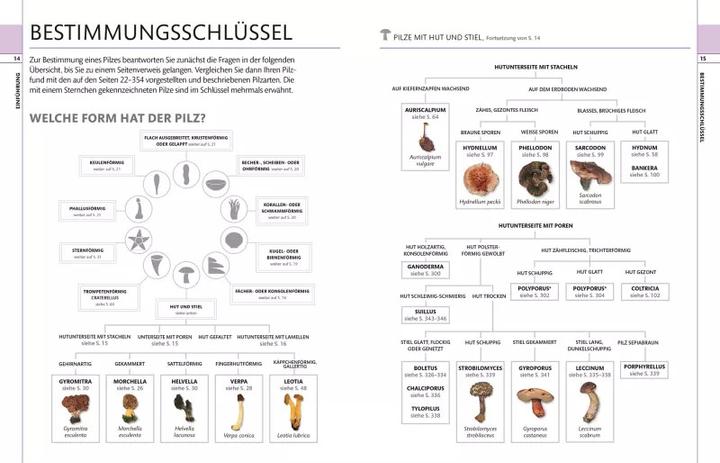 Produktbild Pilze (Deutsch, Thomas Læssøe, 2018)