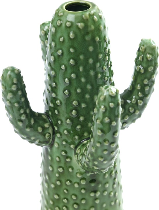 Image du produit Serax Cactus Moyen (1 x)