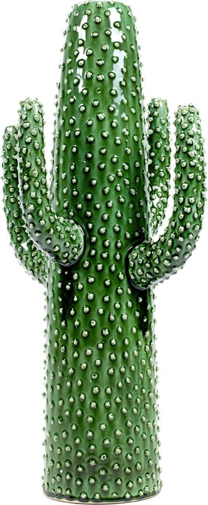 Serax Cactus Moyen (1 x)