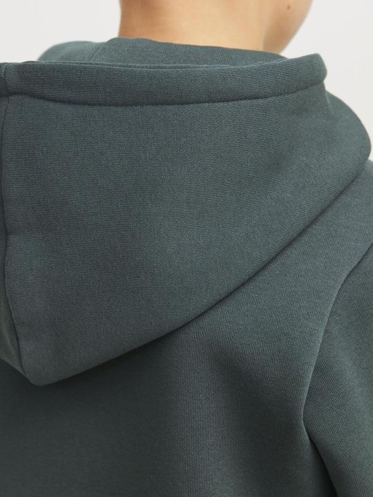 Produktbild Jack & Jones Gedruckt Kapuzenpullover Junior Kapuzenpullover (164)