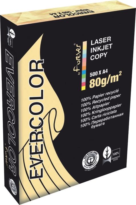 Actual product image Clairefontaine Recycled paper Evercolor chamois DIN A4 80 g/sqm 500 sheets (80 g/m², 500 x, A4)