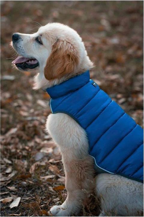 Produktbild Red Dingo Puffer jacket (35, Hundemantel)