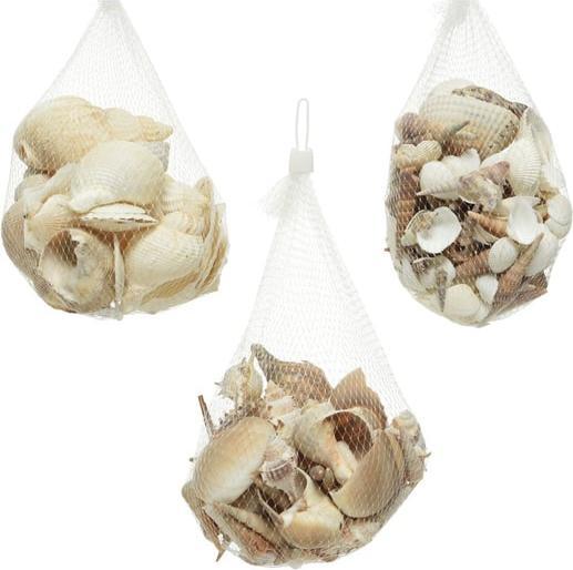 Actual product image Decoris Dekomuscheln - im Säckchen - ca. 350 g - 1 Stück