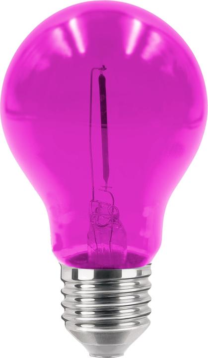 Actual product image Century Fiesta bulb magenta 36V (E27, 0.60 W, 20 lm, 1 x)