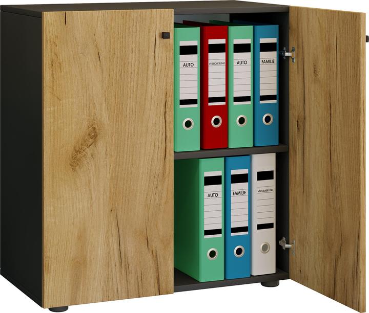 Actual product image VCM Lona L (70 x 74 x 40 cm)