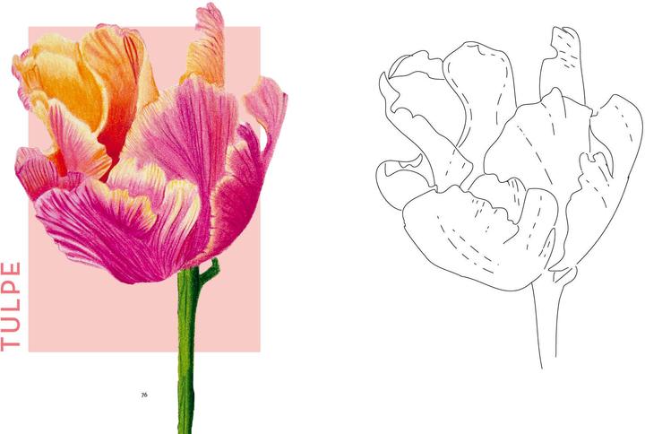 Actual product image Flowers mit Lana: Ausmalen und entspannen mit Lanaarts23