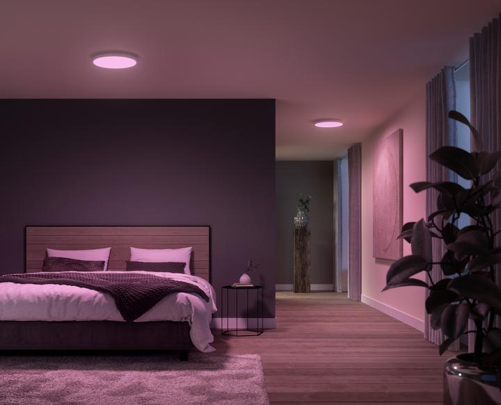 Immagine prodotto Philips Hue Surimu (2850 lm)