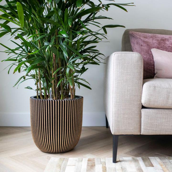 Produktbild Capi Morgan (35 x 34 cm)