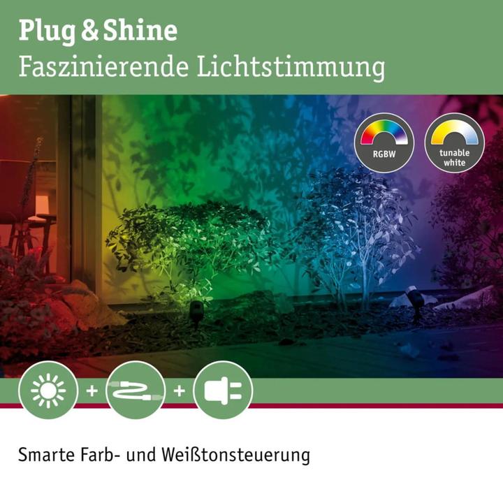 Productafbeelding Paulmann Plug & Shine Snoek (330 lm, IP44)