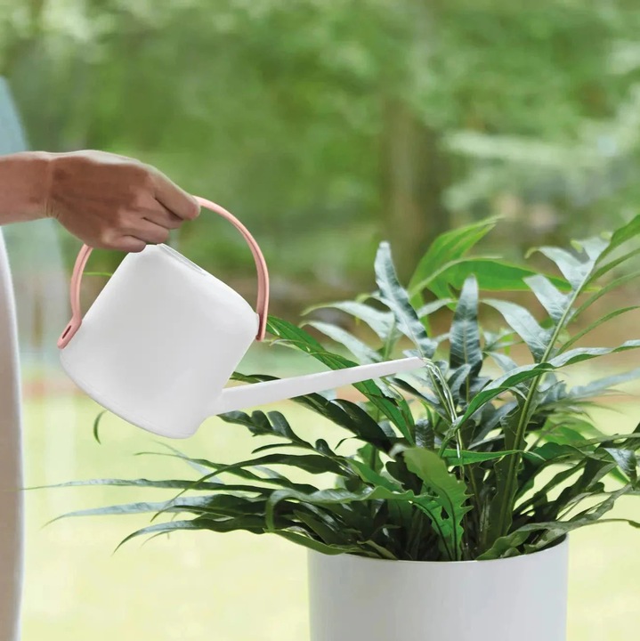 Actual product image Elho B.for Soft Watering Can (1.70 l)