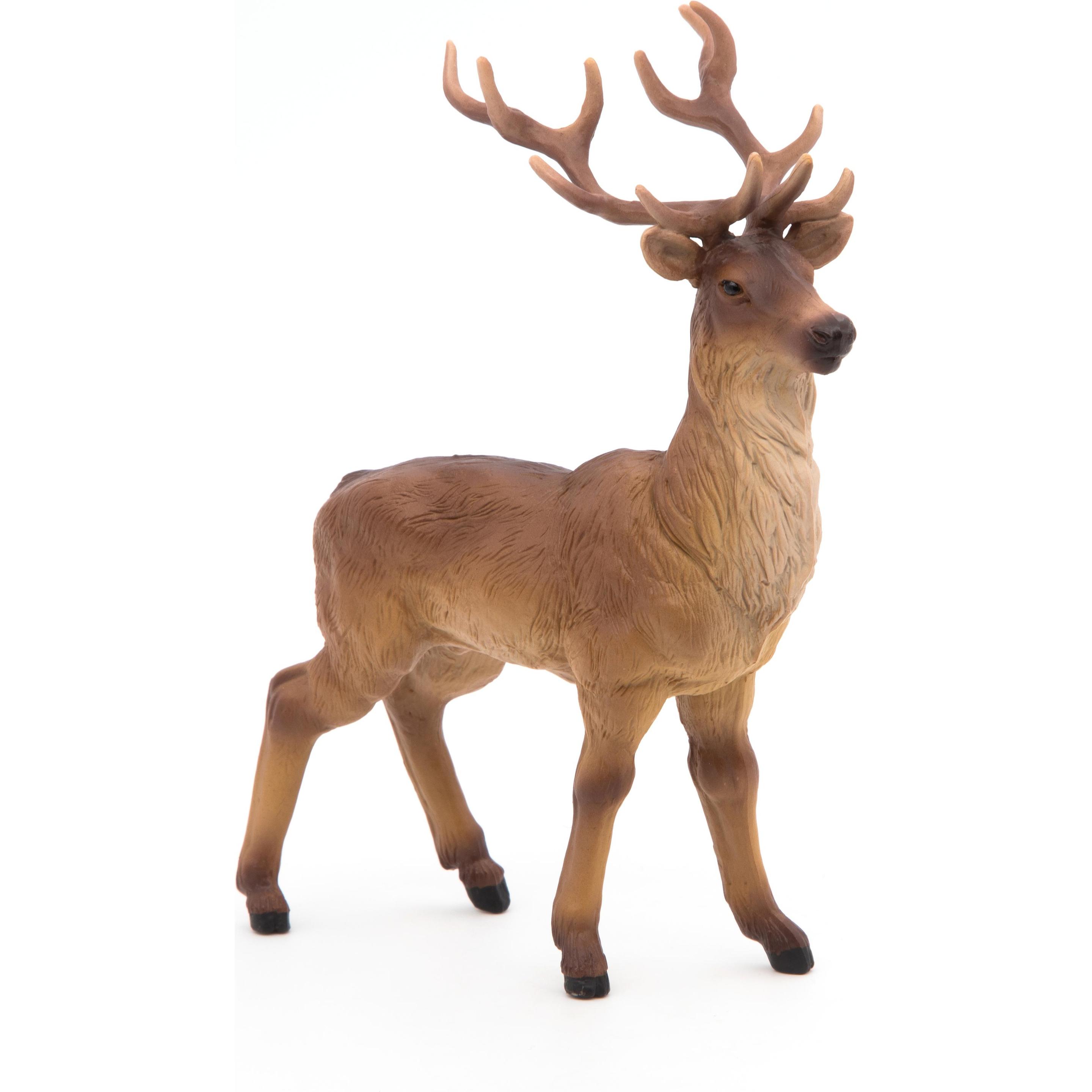 Thumbnail - Papo Hirsch