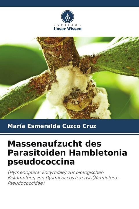 Produktbild Massenaufzucht des Parasitoiden Hambletonia pseudococcina (María Esmeralda Cuzco Cruz, 2023)