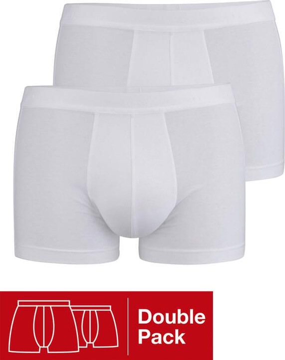 Actual product image ISA Bodywear Panty (L, pack of 2)