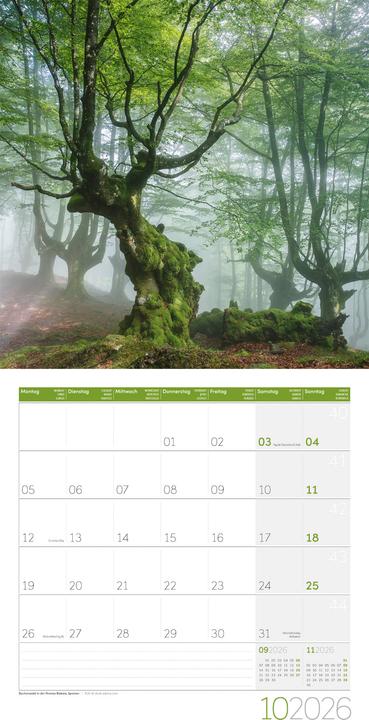 Image du produit Bäume Kalender 2026 - 30x30 (30 x 30 cm, Couverture rigide, Français, Anglais, Allemand, Italien)