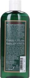 Actual product image Logona Age Energy (Liquid shampoo, 250 ml)