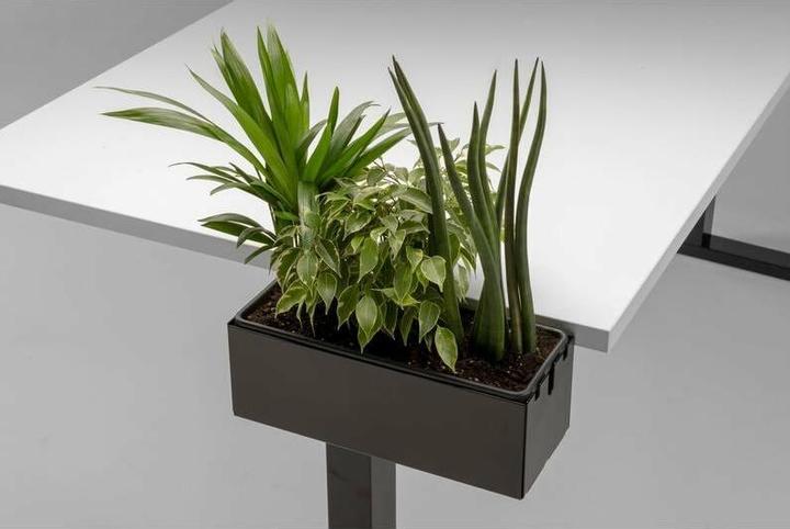 Productafbeelding Actiforce Multibox S incl. montageset voor tafelblad, zwart (13,5 x 14,5 x 37,5 cm)