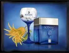 Actual product image Bodegas Williams & Humbert Botanic Ultra Premium London Dry (1 x 70 cl)