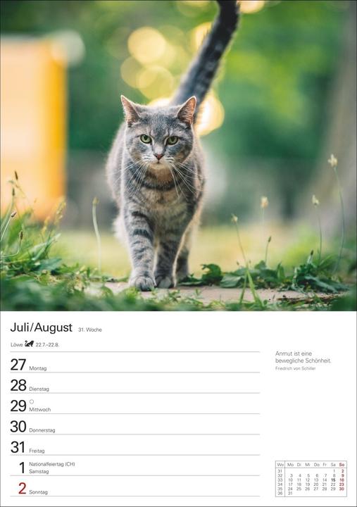 Produktbild Harenberg Katzen Wochenplaner 2026 - 53 faszinierende Fotografien (Harter Einband, Deutsch)