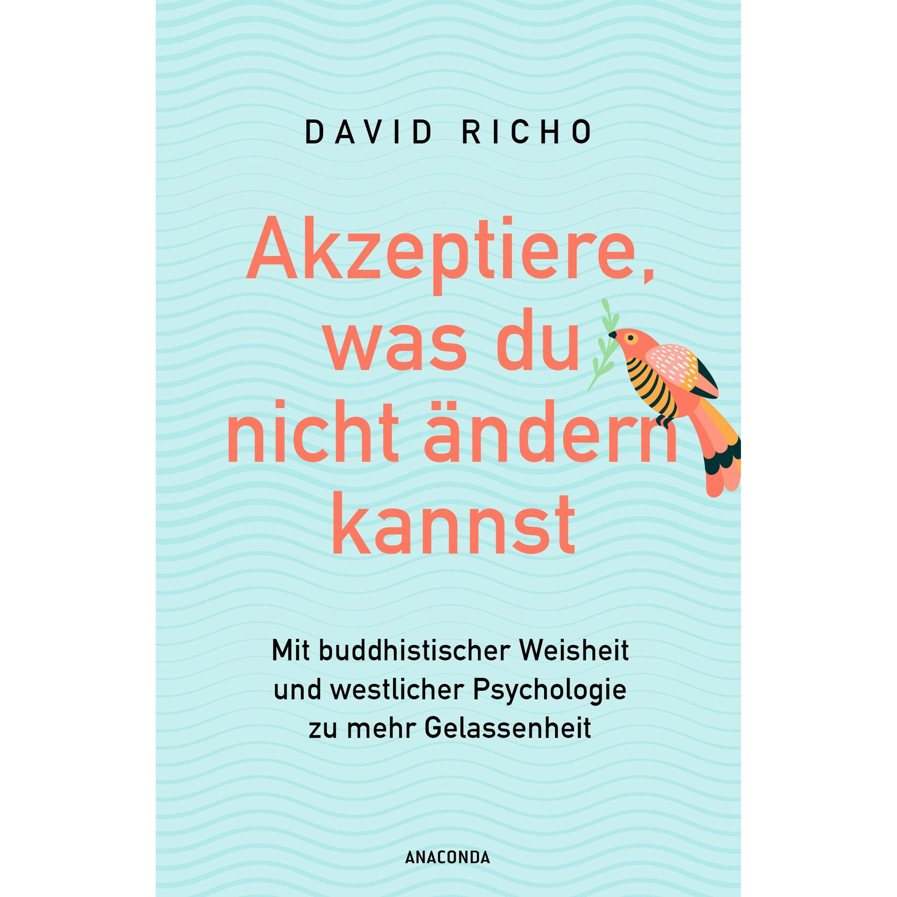 Akzeptiere, was du nicht ändern kannst. Mit buddhistischer Weisheit und westlicher Psychologie zu, Ratgeber von David Ri...