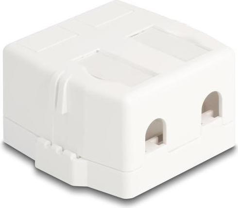 Delock 85843 - Keystone empty housing 2 port with magnetic underside, white