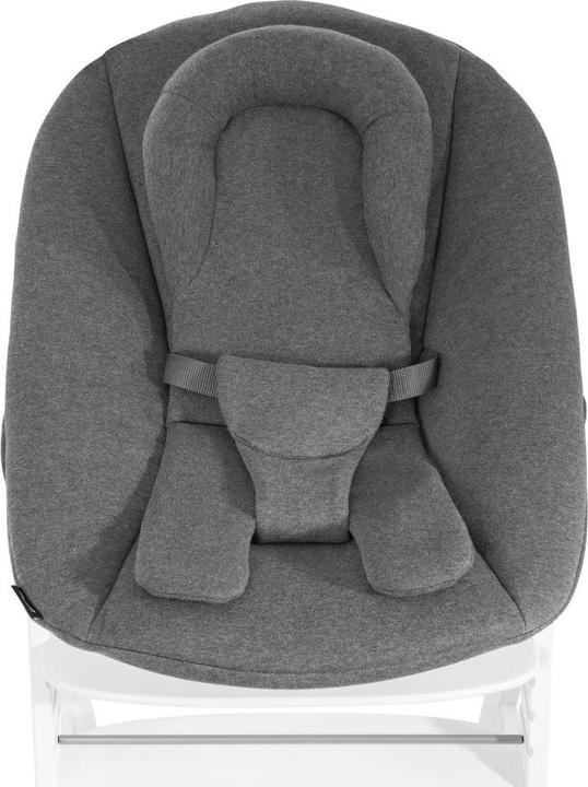 Produktbild Hauck Alpha Bouncer Premium (Hochstuhl)