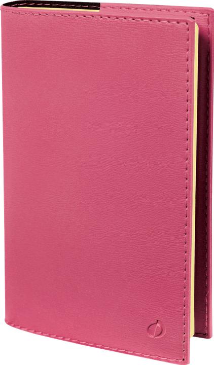 Quo Vadis Nota 15 S Soho Rose FR 2021 QV679049 rosa, 1W/2S 10x15cm