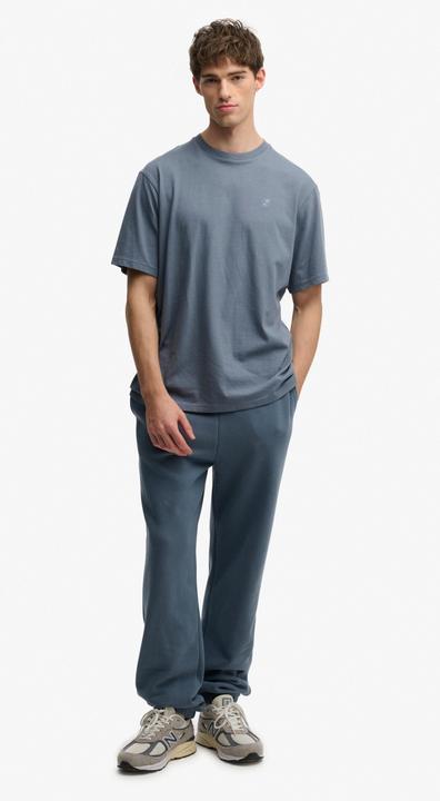 Actual product image Superdry Oversized T-Shirt (M)