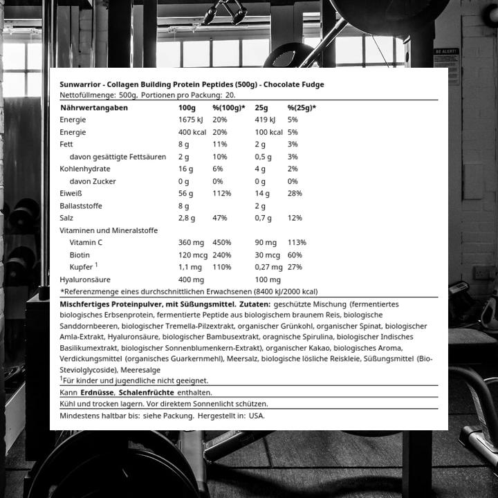 Actual product image Sunwarrior Collagen Building Protein Peptides Chocolate Fudge (1 Piece, Powder, 500 g)